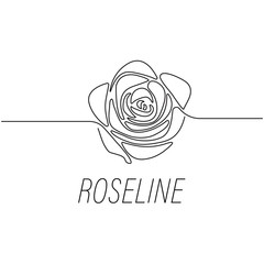 Rose line graphic design template illustration isolated