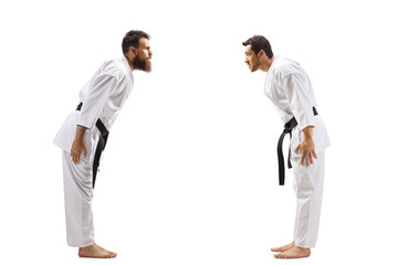 Wall Mural - Two men in karate kimonos bowing