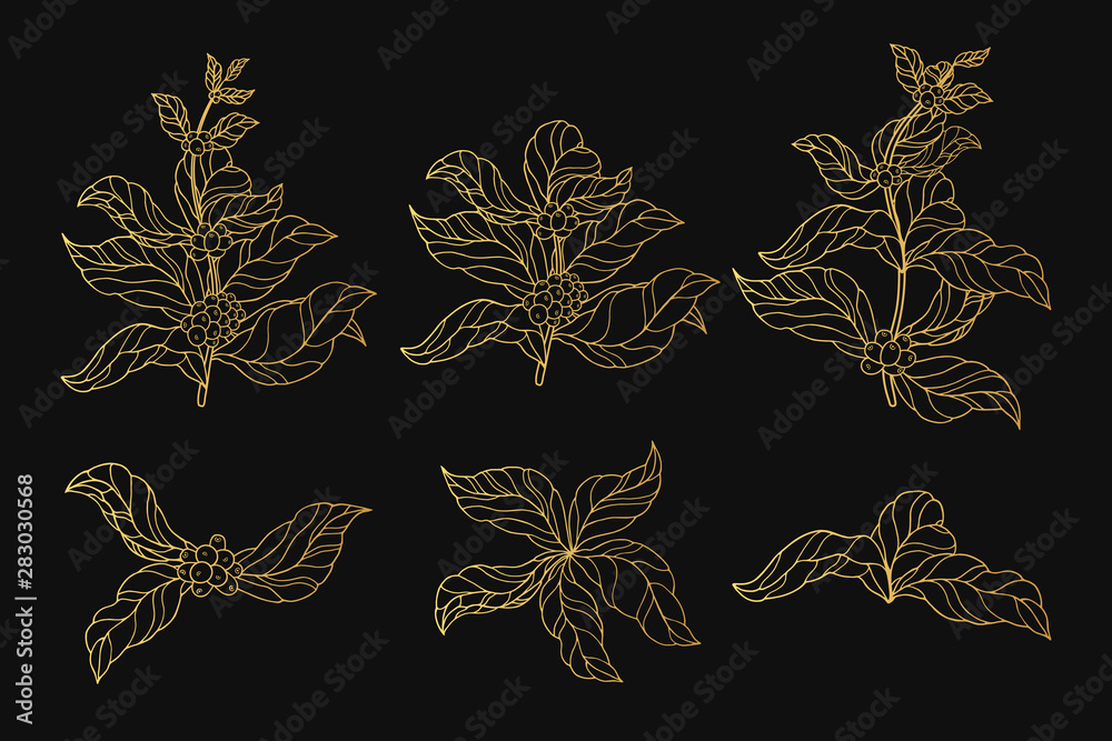 Golden vintage coffee branches with leaves and beans. Gold ornate ...