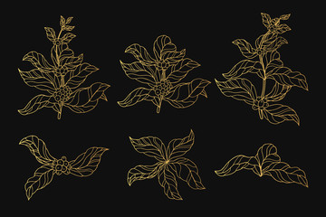 Golden vintage coffee branches with leaves and beans. Gold ornate botanical plants. Vector isolated illustration.