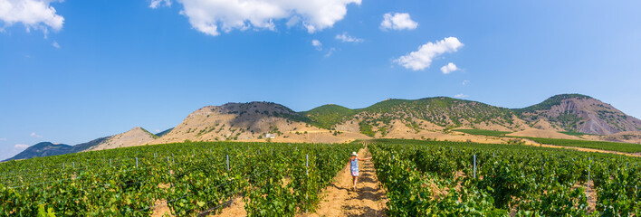 Wall Mural - Girl in the vineyards