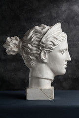 Gypsum copy of ancient statue Diana head on a dark textured background. Plaster sculpture woman face.