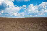 Fototapeta  - Empty brown soil of field and blue sky for natural background