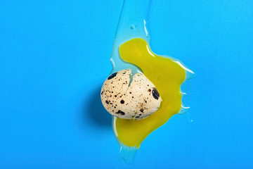 Wall Mural - top view broken quail egg on blue background