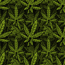 Cannabis Seamless Pattern Print Design