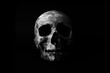 © ahmed adly - skull on black