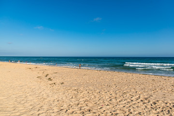 beach and sea