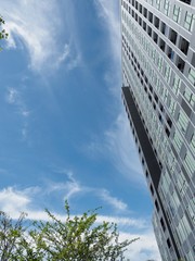 Canvas Print - sky and clouds