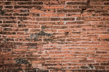 Wall Mural - old brick wall