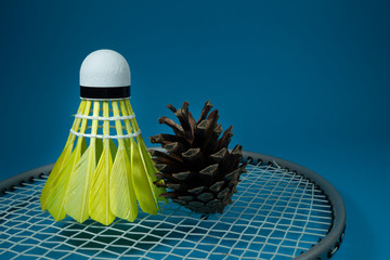 Shuttlecock and pine cone on badminton racket