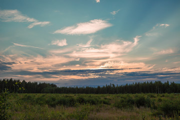 Wall Mural - sunset over field