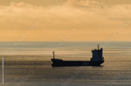 MERCHANT VESSEL ON TE BAY - Sunny morning on the sea