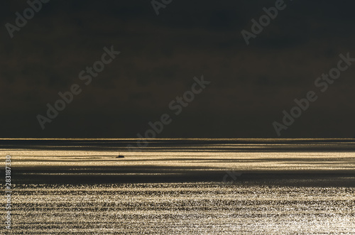 SUNRISE ON TE BAY - Sunny morning on the sea