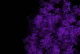 Fototapeta Psy - abstract colored dust explosion on a black background.abstract powder splatted background.