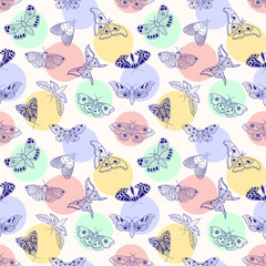 Poster - pattern with butterflies and moths