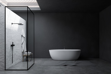 gray bathroom interior, shower and tub