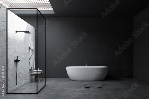Fotomural Gray bathroom interior, shower and tub
