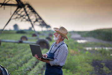 Wall Mural - Farmer with laptop in front of irrigation system in field