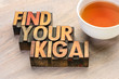 © MarekPhotoDesign.com - find your ikigai word abstract in wood type