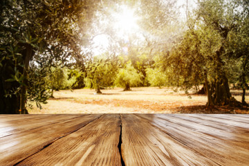 Wall Mural - Table background with old garden view.