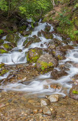 Wall Mural - Beautiful Stream in the Chugach Mountains Alaska