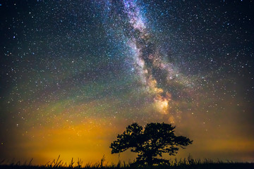 Wall Mural - Landscape with Milky way galaxy over the oak tree