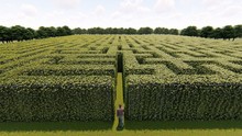 Man walking into big labyrinth 3D rendering