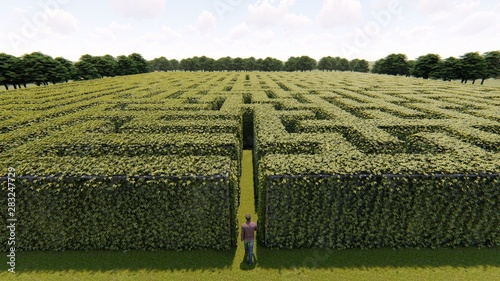 Fotomural Man walking into big labyrinth 3D rendering