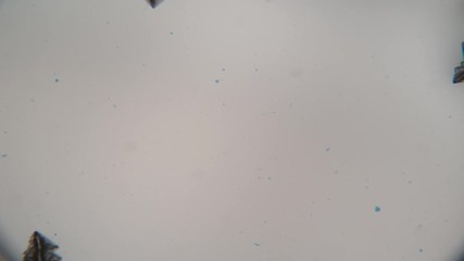 Poster - Crystal growth time lapse