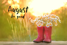 August Be Good. Daisies And Rubber Red Boots. Creative Gardening Concept. Beautiful Bunch Of Summer Flowers Chamomile And Red Boots. Summer Time. Shallow Depth, Soft Selective Focus