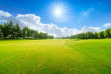 Green grass and blue sky with white clouds in summer season