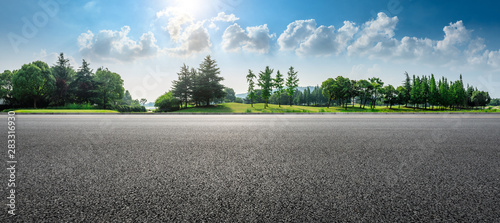 Canvas Print Country asphalt road and green woods nature landscape in summer