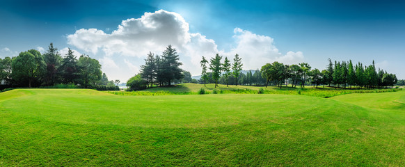 Wall Mural - Green grass and blue sky with white clouds in summer season