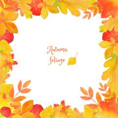 Wall Mural - Background for design with autumn leaves 
