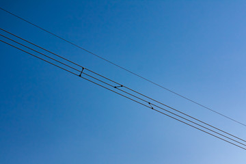 high voltage lines in the field