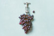 Fresh ripe bunch of grapes with metal corkscrew