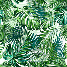 Beautiful Tropical Pattern With Green Palm Leaves For Design Ideal For Fabric Design