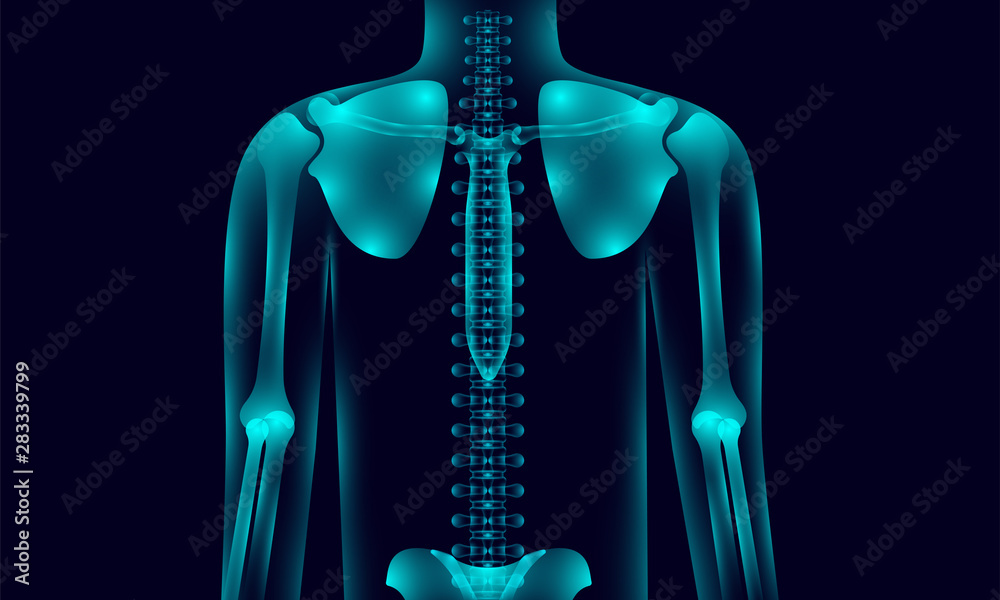 transparent human body anatomy background lighting with hand shoulder ...