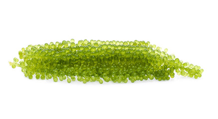 Wall Mural - Sea grapes ( green caviar ) seaweed on white background