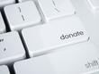 © Denys Rudyi - Donate money computer laptop button