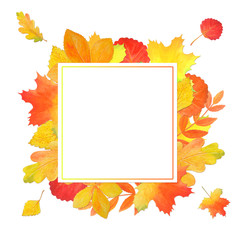Wall Mural - Presentation template with autumn leaves on white background