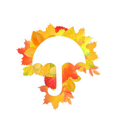 Wall Mural - Original frame for design with autumn leaves. 