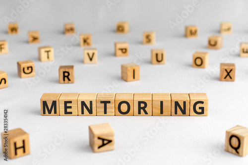 Mentoring - word from wooden blocks with letters, help and advice mentoring conc Canvas Print