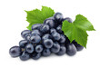 © grey - purple grape, isolated on white background, clipping path, full depth of field
