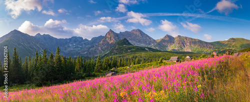 Fényképezés  mountain landscape, Tatra mountains panorama, Poland colorful flowers and cottag