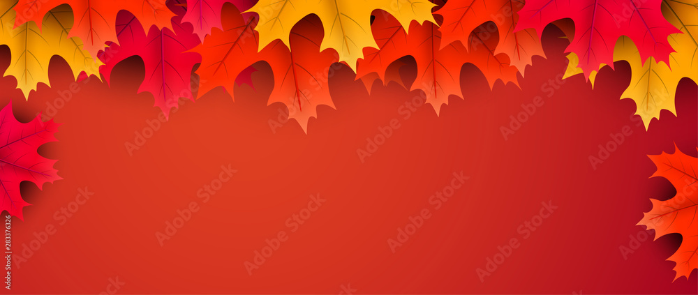 Autumn background with colorful maple leaves. - obrazy, fototapety, plakaty 