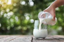 Pouring Milk In The Glass On The Wooden Table With Bokeh Background Of Nature.