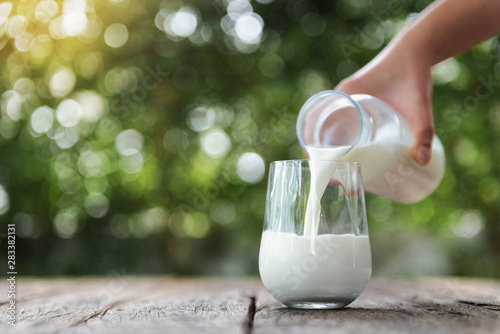 Fotomural Pouring milk in the glass on the wooden table with bokeh background of nature