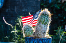 American Flag Planter Free Stock Photo - Public Domain Pictures