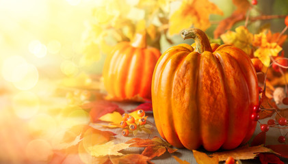 Thanksgiving orange pumpkins, autumn leaves and berries on wooden table.  Autumn background banner with falling leaves.